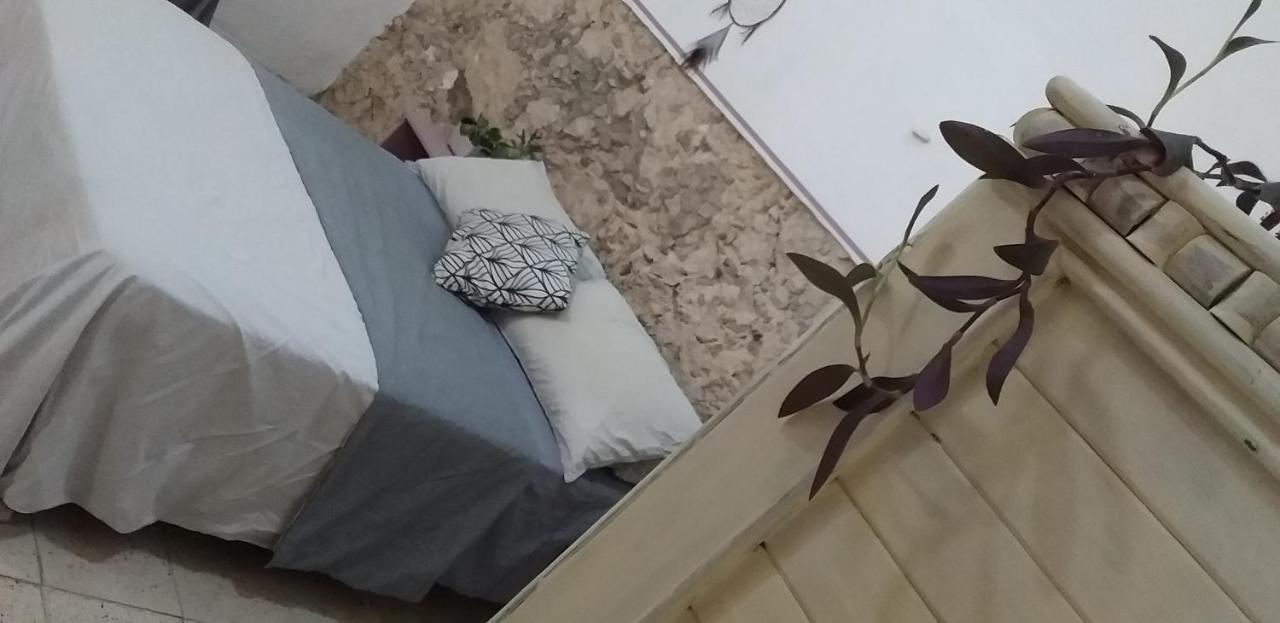 Akasha Hostel Merida Bagian luar foto